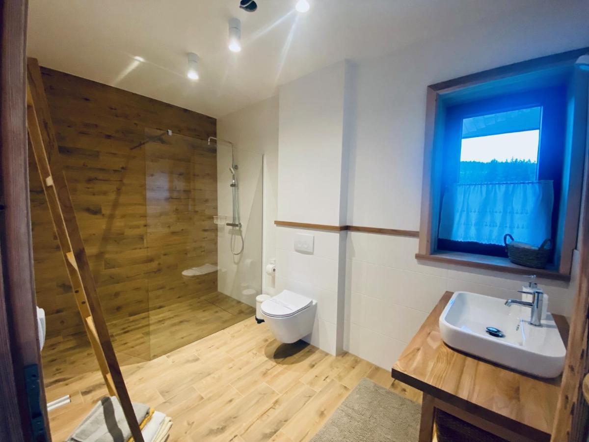 Apartment Roztoki Four Seasons Witow (Tatra)